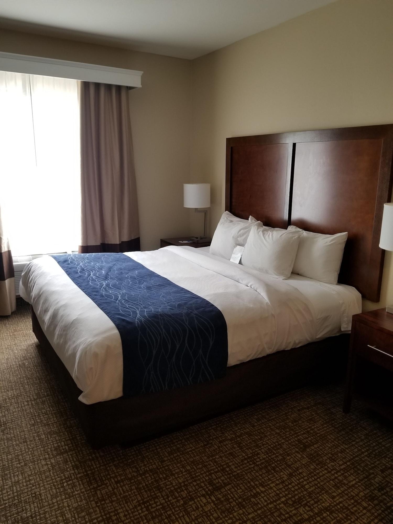 Sonesta Essential - Baton Rouge Airport Hotel Ngoại thất bức ảnh